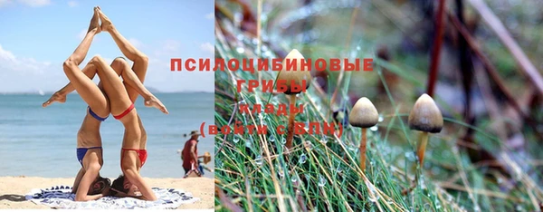 не бодяженный Няндома