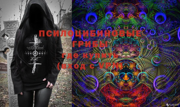не бодяженный Няндома